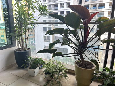 109 Nguyen Tuan, Vietnam  109 Nguyen Tuan, Vietnam