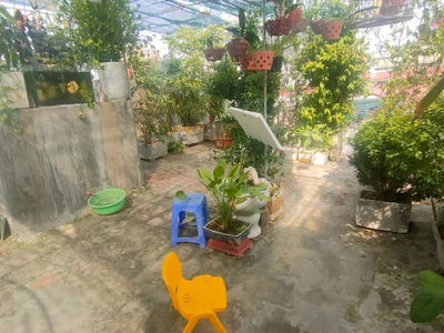 Lane 629, Vietnam Lane 629, Vietnam