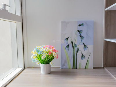 Sunrise City, Vietnam  Sunrise City, Vietnam