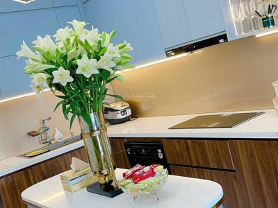 Phu Thinh Green Park Project, Vietnam Phu Thinh Green Park Project, Vietnam