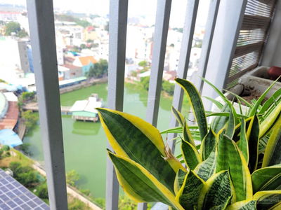 Prosper Plaza, Vietnam Prosper Plaza, Vietnam