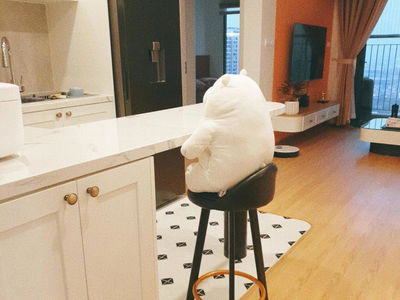 Vinhomes Smart City Project, Vietnam Vinhomes Smart City Project, Vietnam