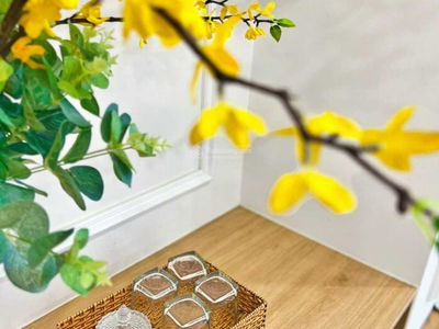 TMS Luxury Hotel & Residences Project, Vietnam TMS Luxury Hotel & Residences Project, Vietnam