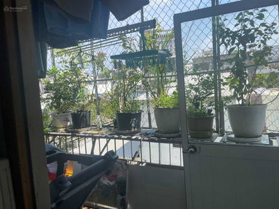 24/16, Vietnam 24/16, Vietnam