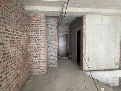 Iris Garden Iris Garden