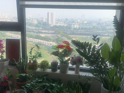 Bea Sky Project, Vietnam Bea Sky Project, Vietnam