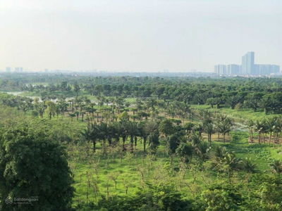 Aqua Bay Sky Residences Project, Vietnam Aqua Bay Sky Residences Project, Vietnam