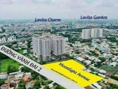 Moonlight Avenue, Vietnam Moonlight Avenue, Vietnam