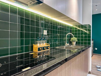 The Monarchy Project, Vietnam The Monarchy Project, Vietnam