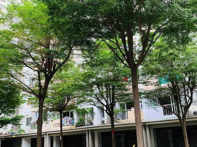 An Vien Apartment, Vietnam  An Vien Apartment, Vietnam