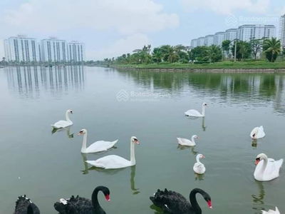 Thanh Ha Muong Thanh Project, Vietnam Thanh Ha Muong Thanh Project, Vietnam