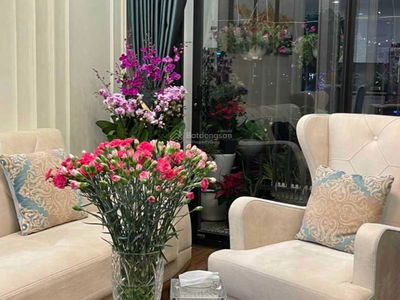 Diplomatic Corps Area Project, Vietnam Diplomatic Corps Area Project, Vietnam