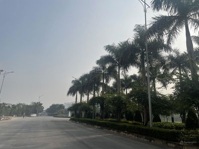 - An Lac Green Symphony, Vietnam - An Lac Green Symphony, Vietnam