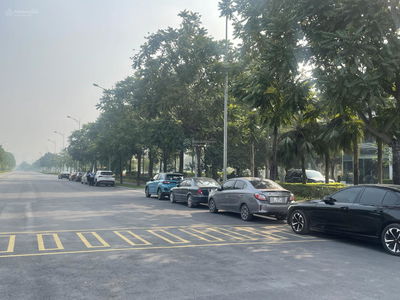 - An Lac Green Symphony, Vietnam - An Lac Green Symphony, Vietnam