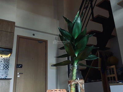 M-One South Saigon, Vietnam  M-One South Saigon, Vietnam