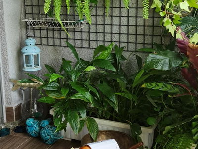 Docklands Saigon, Vietnam Docklands Saigon, Vietnam