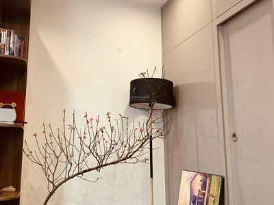 - Vinhomes Smart City, Vietnam  - Vinhomes Smart City, Vietnam