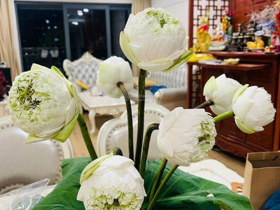 Thong Nhat Complex Project, Vietnam Thong Nhat Complex Project, Vietnam