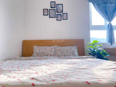 Vung Tau Melody Project, Vietnam Vung Tau Melody Project, Vietnam