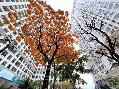 Sunshine Garden Project, Vietnam Sunshine Garden Project, Vietnam