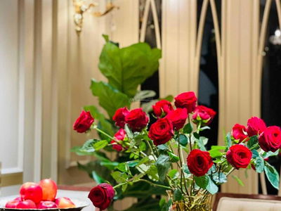 Dolphin Plaza Project, Vietnam Dolphin Plaza Project, Vietnam