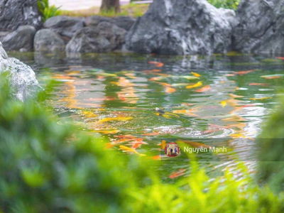 - Vinhomes Smart City, Vietnam - Vinhomes Smart City, Vietnam