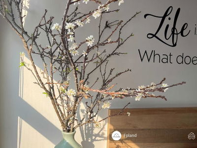 Masteri An Phu, Vietnam Masteri An Phu, Vietnam