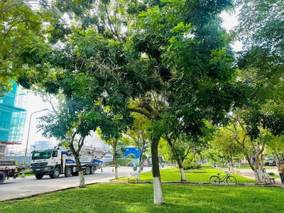 The Privia, Vietnam The Privia, Vietnam