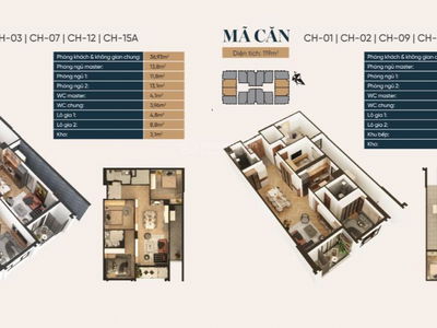Capital Elite Project, Vietnam  Capital Elite Project, Vietnam