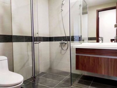 N01-T6 Diplomatic Corps, Vietnam N01-T6 Diplomatic Corps, Vietnam