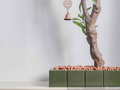 Happy In View, Vietnam Happy In View, Vietnam