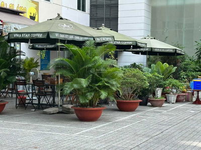 Beauty Apartment, Vietnam Beauty Apartment, Vietnam