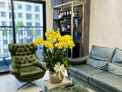 Eco Lake View Project, Vietnam Eco Lake View Project, Vietnam