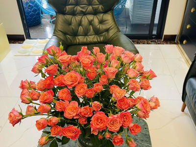 Eco Lake View Project, Vietnam Eco Lake View Project, Vietnam