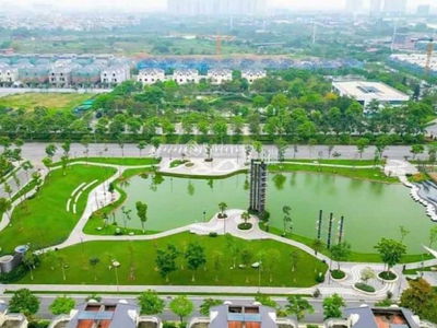 - An Lac Green Symphony, Vietnam  - An Lac Green Symphony, Vietnam