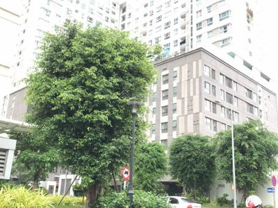 Orchard Garden Orchard Garden