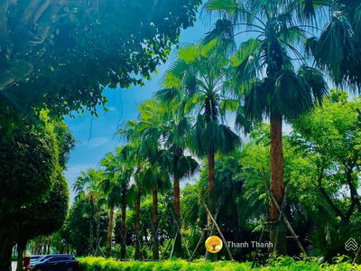 Diamond Island, Vietnam Diamond Island, Vietnam