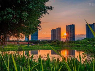 Sol Forest Ecopark Project, Vietnam Sol Forest Ecopark Project, Vietnam