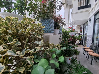 Mandarin Garden Project, Vietnam Mandarin Garden Project, Vietnam