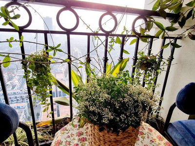 Mandarin Garden Project, Vietnam Mandarin Garden Project, Vietnam