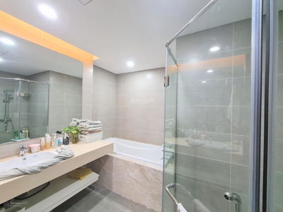 N03-T1 Diplomatic Corps, Vietnam N03-T1 Diplomatic Corps, Vietnam