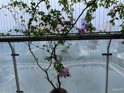 Euroland European Overseas Vietnamese Village Project, Vietnam Euroland European Overseas Vietnamese Village Project, Vietnam