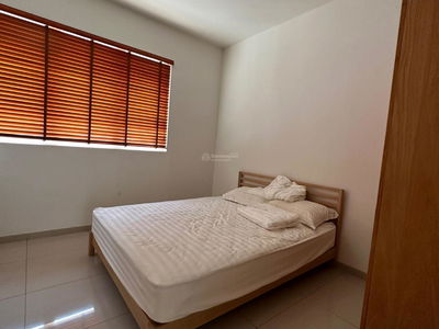 The Canary Project, Vietnam The Canary Project, Vietnam