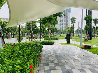 - An Lac Green Symphony, Vietnam - An Lac Green Symphony, Vietnam