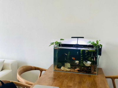 Ehome Southgate Project, Vietnam  Ehome Southgate Project, Vietnam