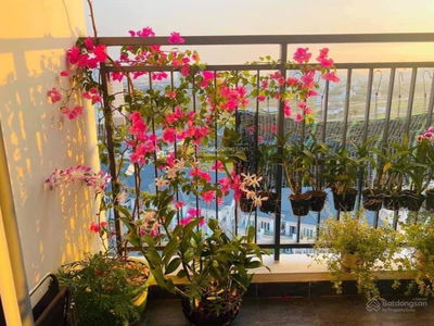 Thu Thiem Garden, Vietnam Thu Thiem Garden, Vietnam