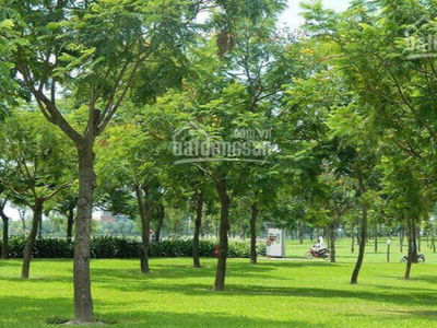 Blue Sky Tower, Vietnam Blue Sky Tower, Vietnam