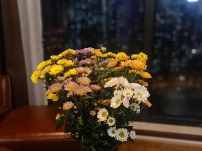 Ecohome 3 Project, Vietnam Ecohome 3 Project, Vietnam