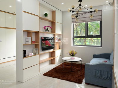 Saigon Intela, Vietnam Saigon Intela, Vietnam