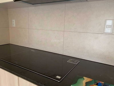 The Dragon Castle Project, Vietnam The Dragon Castle Project, Vietnam